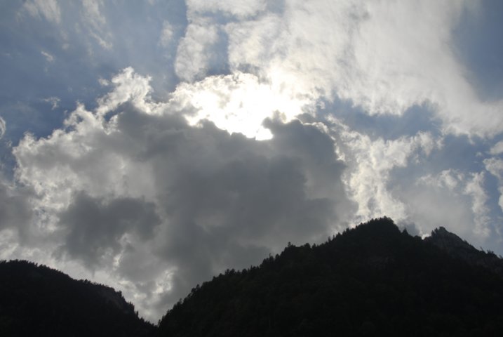 _bea0361.jpg